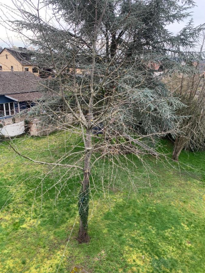 Mainpark Apartment 4 Schlafzimmer Bis Zu 10 Personen Direkt Ueber Aschaffapartment Bei Aschaffenburg Mainaschaff Dış mekan fotoğraf