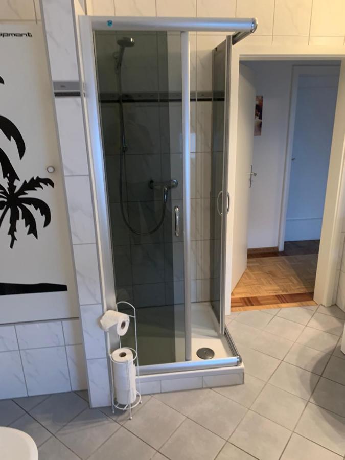 Mainpark Apartment 4 Schlafzimmer Bis Zu 10 Personen Direkt Ueber Aschaffapartment Bei Aschaffenburg Mainaschaff Dış mekan fotoğraf